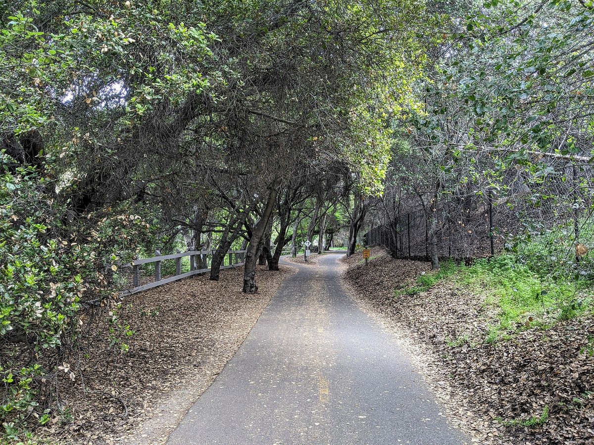 The Stevens Creek Trail near downtown Mountain View